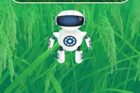 Xr(nng)app°