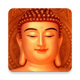 ����app���ذ�׿v5.4 �ֻ���