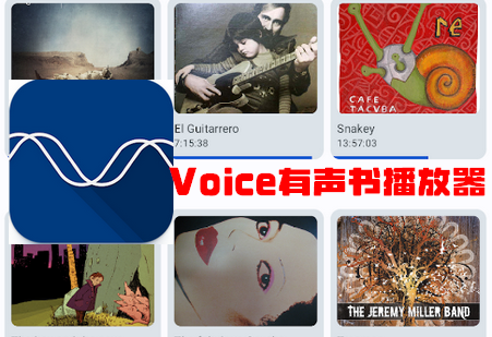 Voice