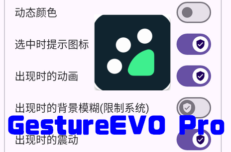 ք݆PGestureEVO PRO