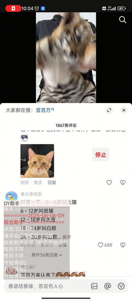 DYC
