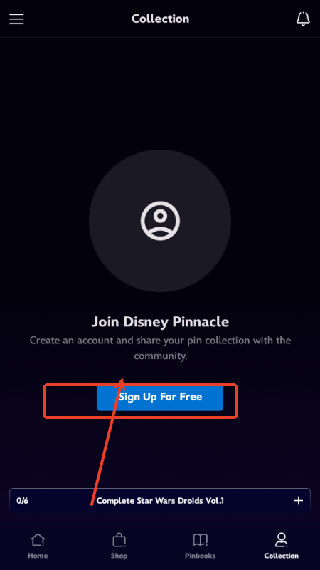 ʿDisney Pinnacle