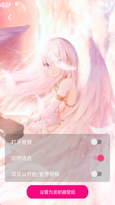 ��Ƶ��̬��ֽ(Video Wallpaper)��ͼ1
