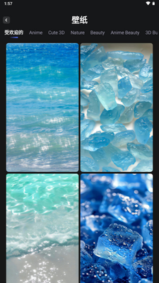 �����ֽWallFancy��ͼ3