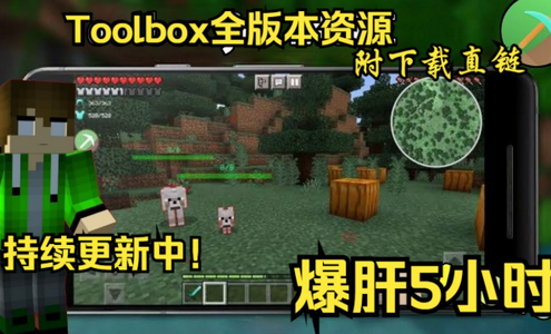 Minecraft ToolBoxy