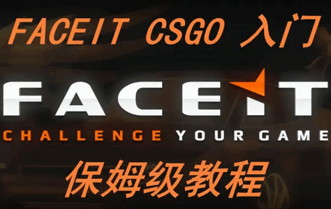 FACEIT֙C͑