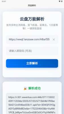 万能网盘解析软件截图2