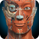 3d����ѧAnatomyLearning��Ѱ�v3.1.493 �ֻ�������