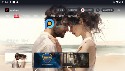 网飞猫tv版2026最新版截图3