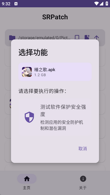 SRPatchȥǩ�����߽�ͼ1