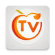 ����TV���Ӻ���v2025-11-02��׿���°�