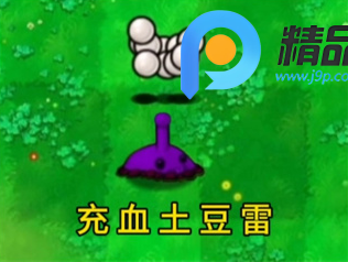 ֲʬ°汾