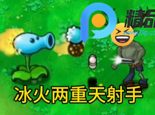 ֲʬ°汾