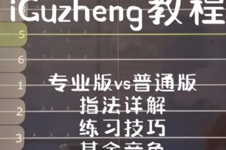 ۹Ź~iGuzhengiVIP