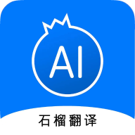 ʯapp׿1.0.0 ֻ