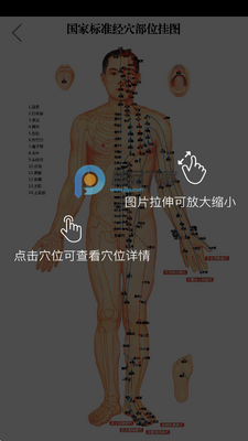����Ѩλͼ��app�߼����ͼ1