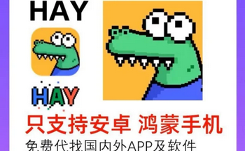 hay���������ٷ�����-hayС���㽻����������