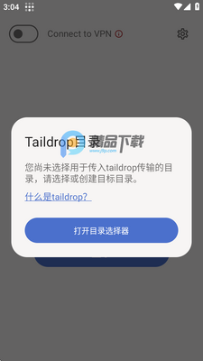 Tailscale�������ͼ1