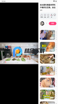 BiliLite�ֻ����ͼ3
