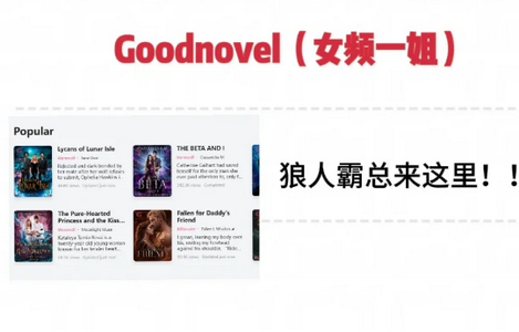 ʱgoodnovelٷ
