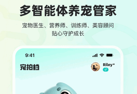 宠拍档app手机版 宠拍档app手机版