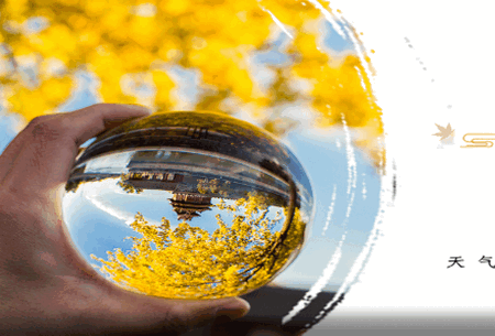 国民社区app官方版 国民社区app官方版