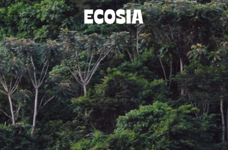 Ecosia浏览器 Ecosia浏览器