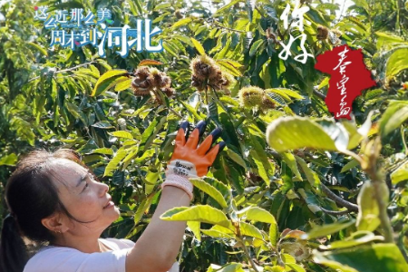 秦来app最新版2025 秦来app最新版2025