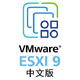 VMware ESXi 9.0���ɳ���������v9.0.1.0-24957456 ����������