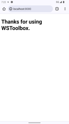 WSToolbox服务器截图0