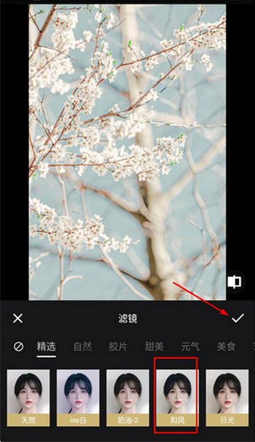 �˾���Ƭpͼ���