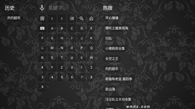 ����үӰ��������װ