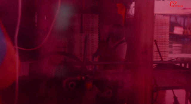 ��ľӰ������