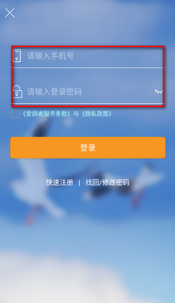 ������������װ