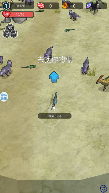 ����������Ϸ