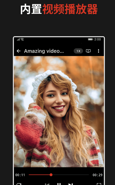 WDownloaderͼƬ��Ƶ������