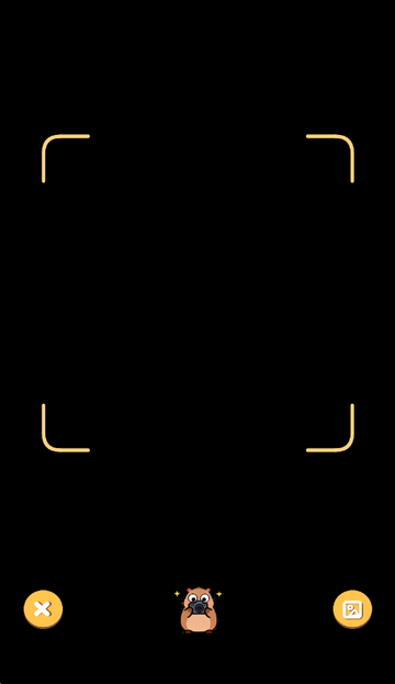 ��Ƥ����ѧϰ��������