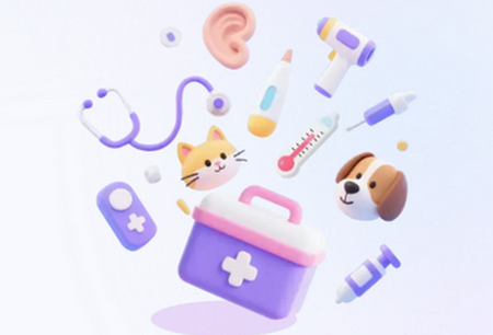 ���ֳ���ҽ������