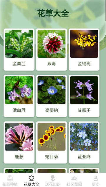 ����Ȥ����ֲʶ������