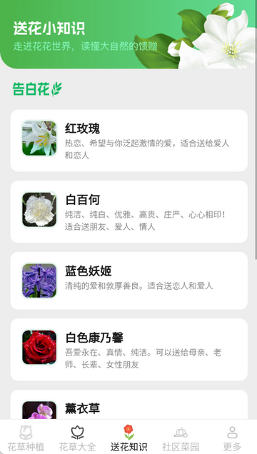 ����Ȥ����ֲʶ������