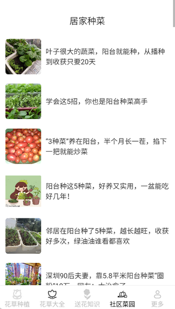 ����Ȥ����ֲʶ������