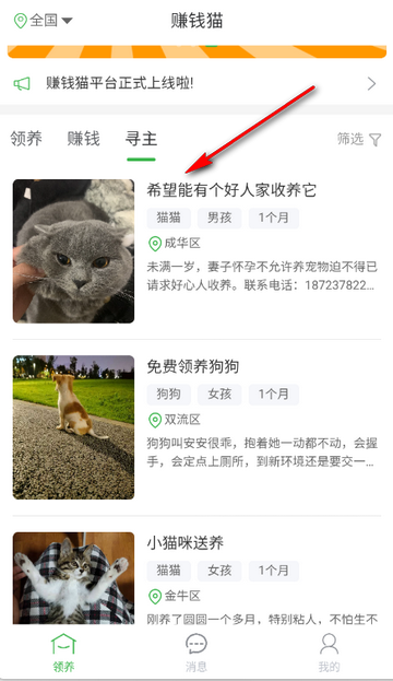 赚钱猫领养平台 赚钱猫领养平台