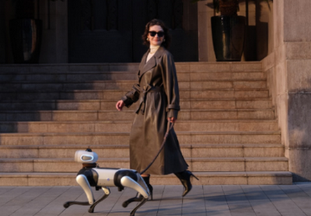 Vbot������