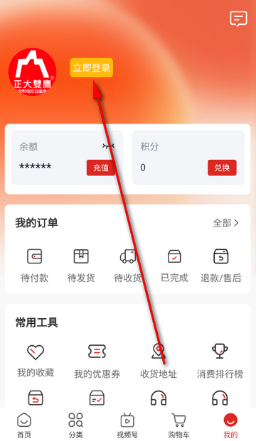 ˫ӥ�����̳�����