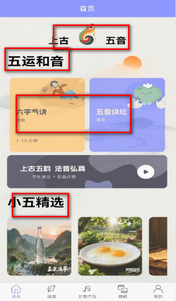 �����Ƽ�������������