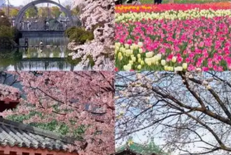 ��������ʶ����������