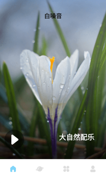 ���߰�����������