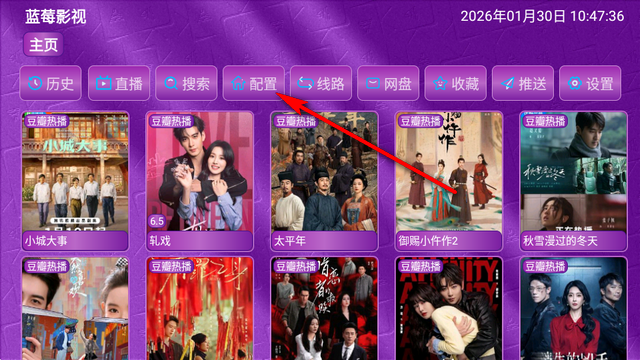 ��ݮӰ��TV���Ӱ�