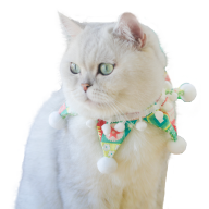 ׬Ǯè����ƽ̨1.0.0���°�