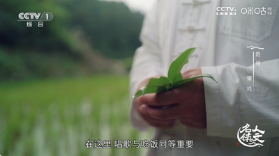 蜂巢直播Pro盒子截图1